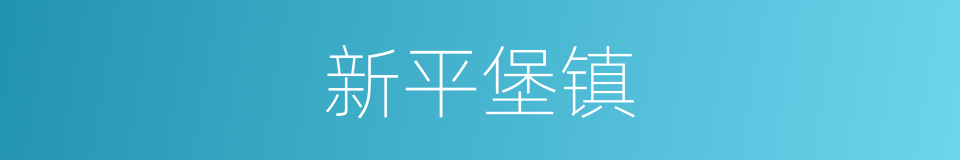 新平堡镇的同义词