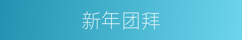 新年团拜的同义词
