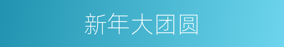 新年大团圆的同义词