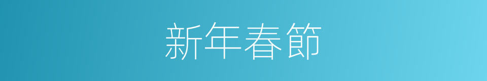 新年春節的同義詞
