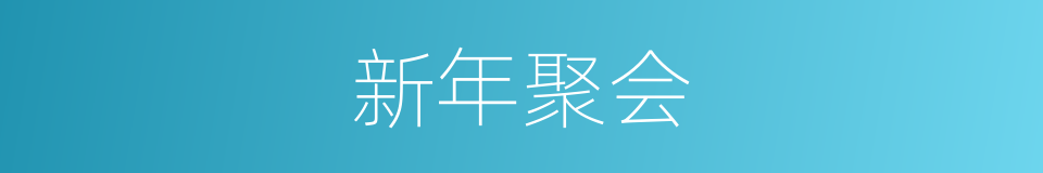 新年聚会的同义词