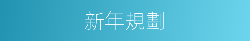 新年規劃的同義詞