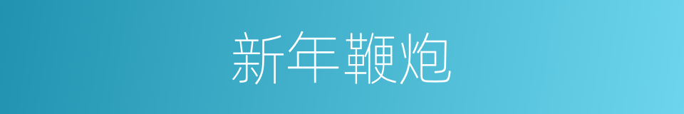 新年鞭炮的同义词