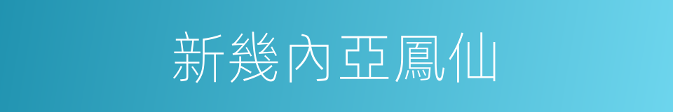 新幾內亞鳳仙的同義詞