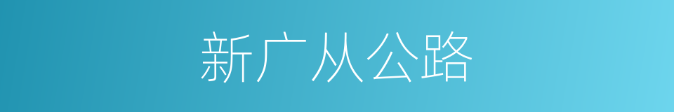 新广从公路的同义词