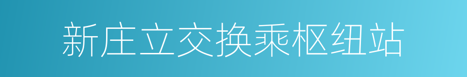 新庄立交换乘枢纽站的同义词