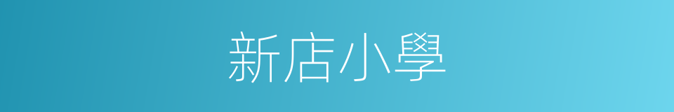 新店小學的同義詞