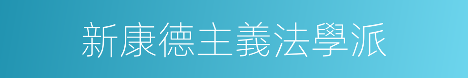 新康德主義法學派的同義詞