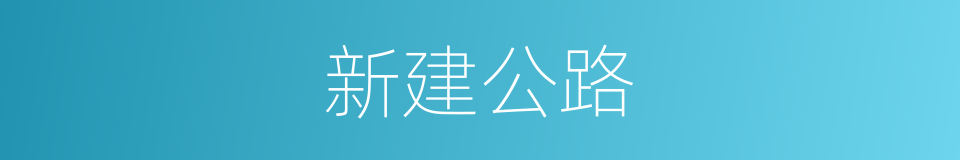 新建公路的同义词