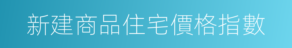 新建商品住宅價格指數的同義詞