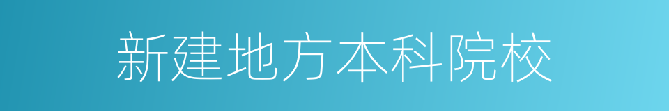 新建地方本科院校的同义词