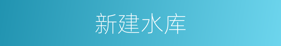 新建水库的同义词