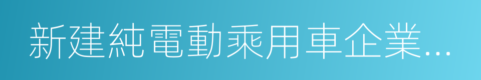 新建純電動乘用車企業管理規定的同義詞