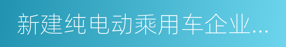 新建纯电动乘用车企业管理规定的同义词