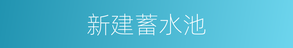 新建蓄水池的同义词