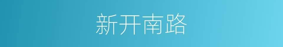 新开南路的同义词