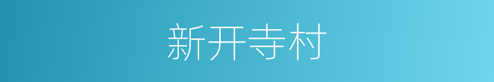 新开寺村的同义词