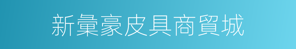 新彙豪皮具商貿城的同義詞