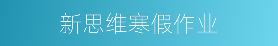 新思维寒假作业的同义词
