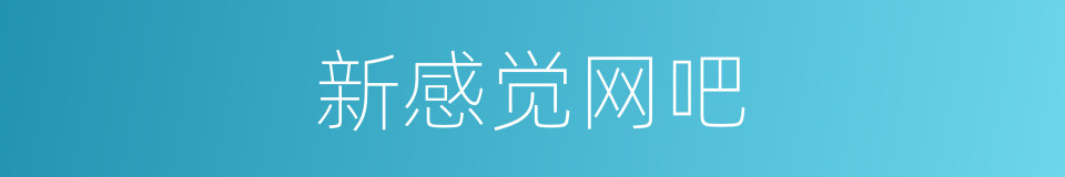 新感觉网吧的同义词
