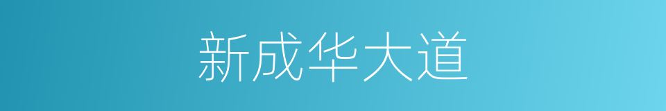 新成华大道的同义词