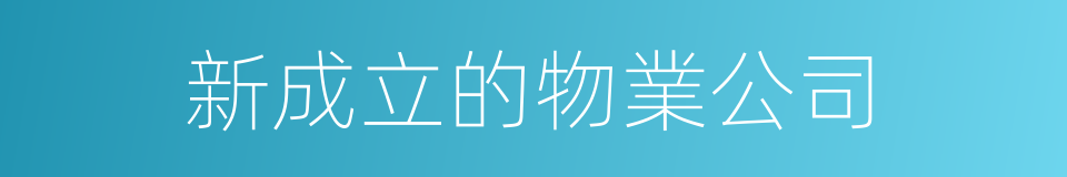新成立的物業公司的同義詞