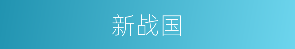 新战国的同义词