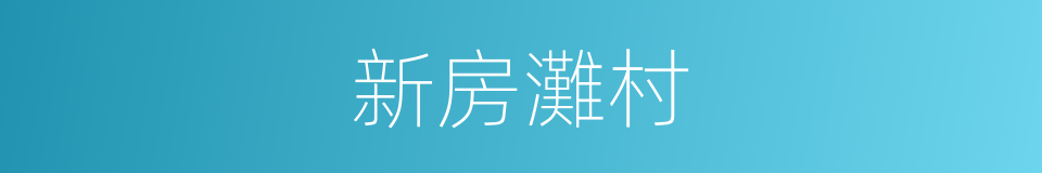 新房灘村的同義詞