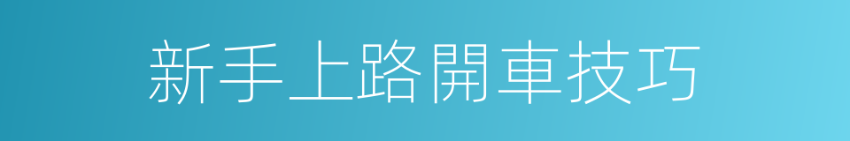 新手上路開車技巧的同義詞