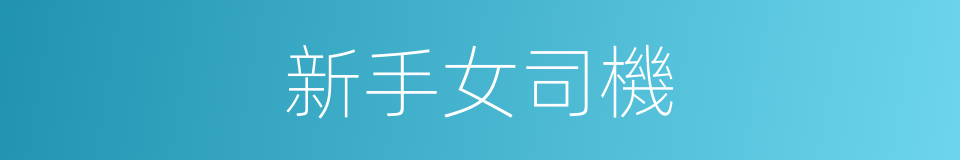 新手女司機的同義詞