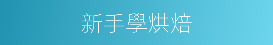 新手學烘焙的同義詞