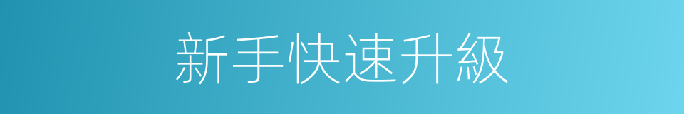 新手快速升級的同義詞