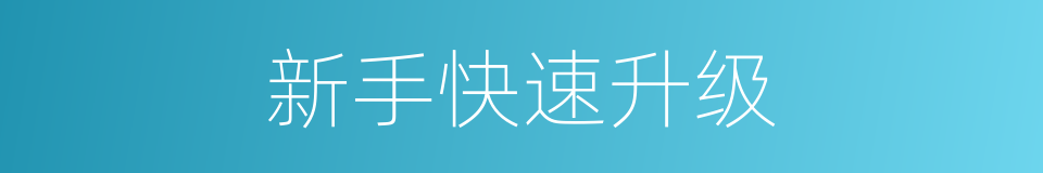 新手快速升级的同义词