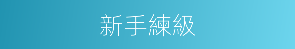 新手練級的同義詞