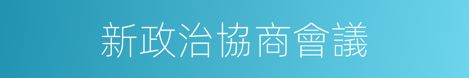 新政治協商會議的同義詞