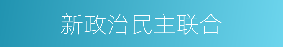 新政治民主联合的同义词