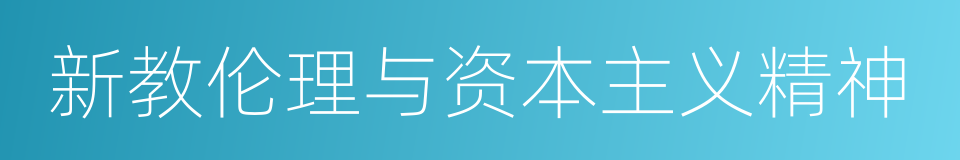 新教伦理与资本主义精神的同义词