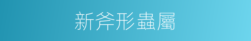 新斧形蟲屬的同義詞