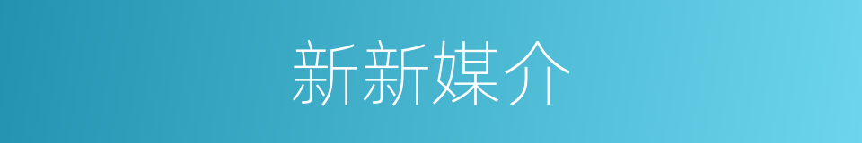 新新媒介的同义词
