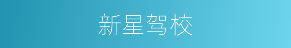 新星驾校的同义词