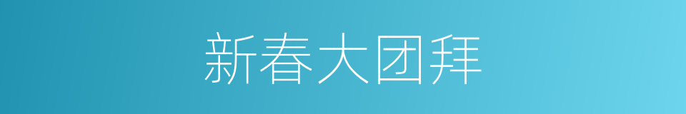 新春大团拜的同义词