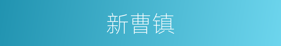 新曹镇的同义词