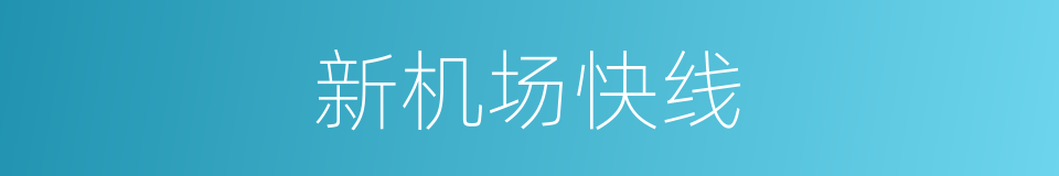 新机场快线的同义词