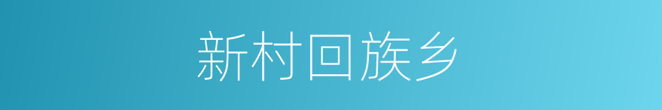 新村回族乡的同义词