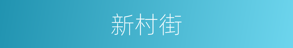 新村街的同义词