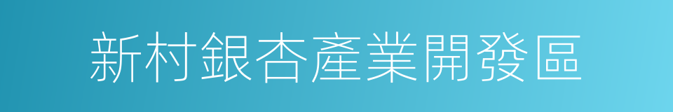 新村銀杏產業開發區的同義詞