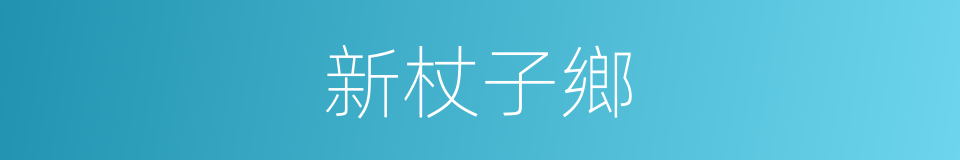 新杖子鄉的同義詞