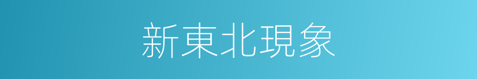 新東北現象的同義詞