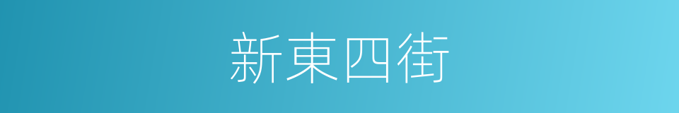 新東四街的同義詞