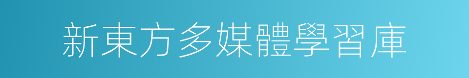 新東方多媒體學習庫的同義詞